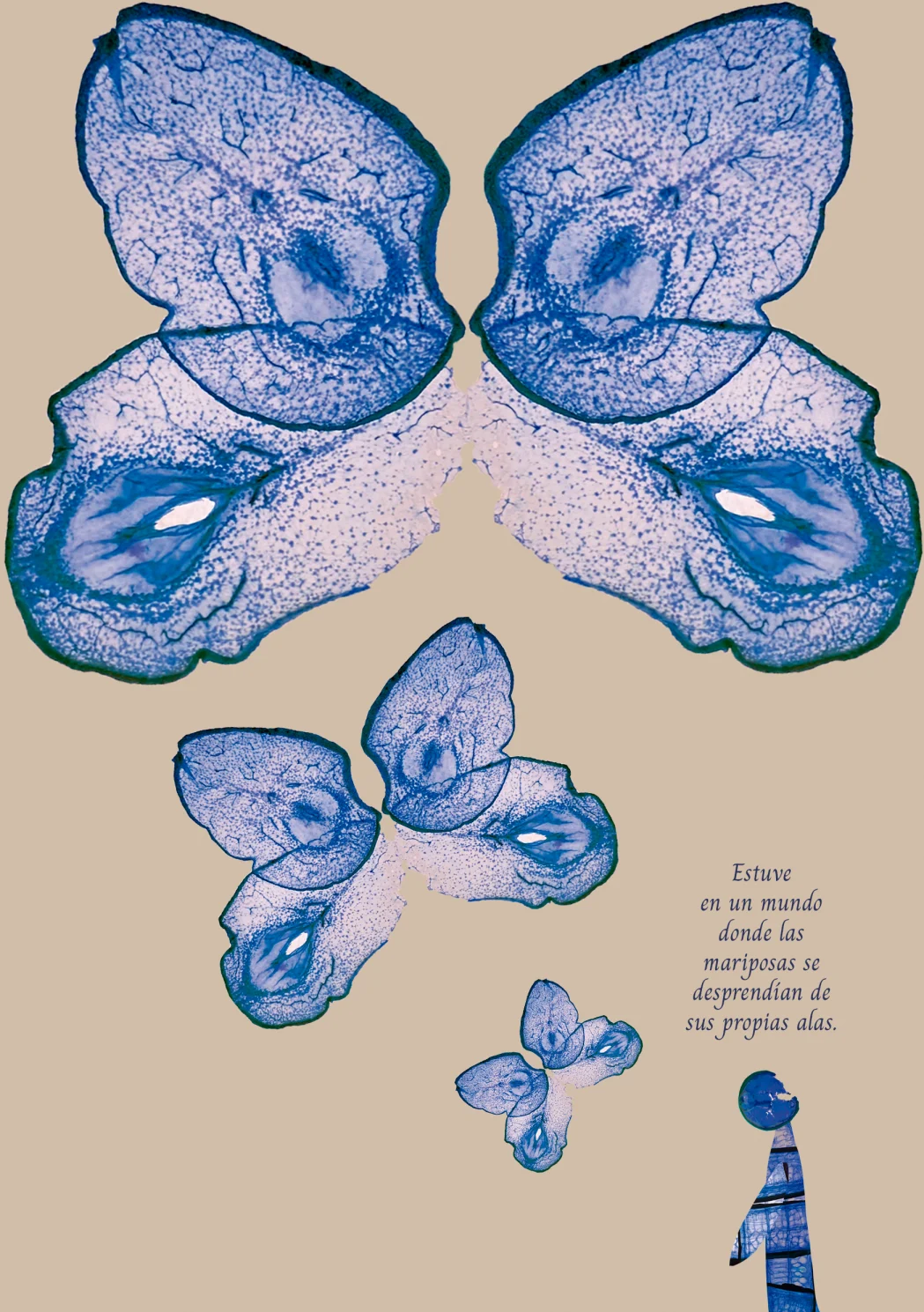 Estuve en un mundo, page 7