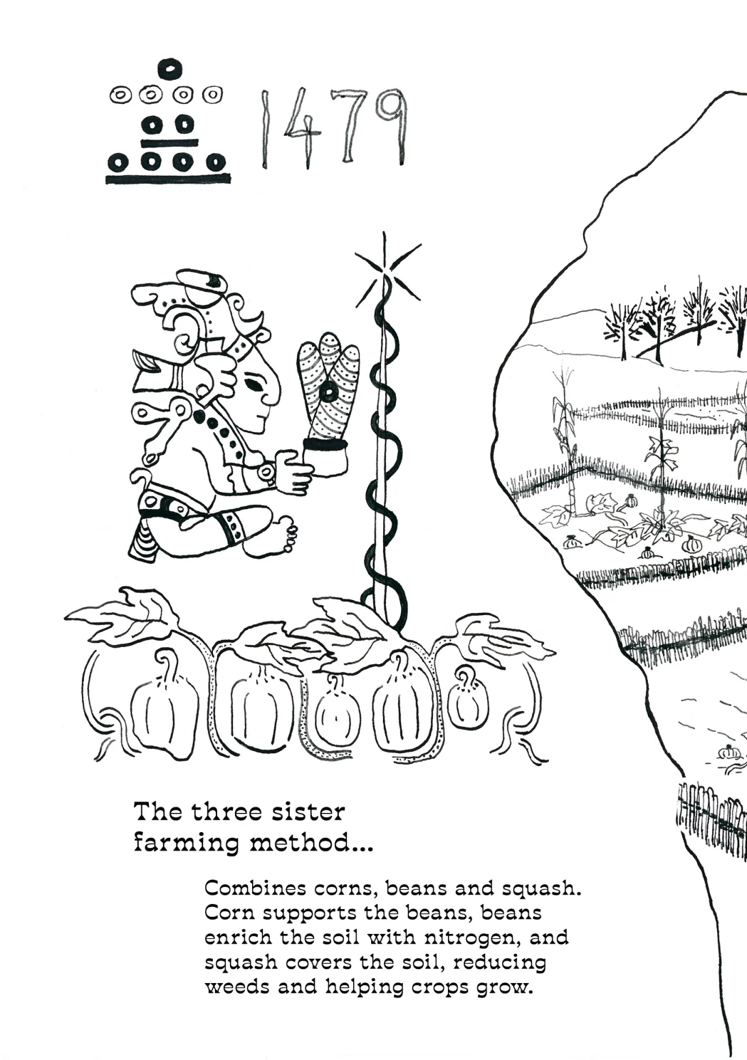 Growing into the future, Rooted in the past, page 5