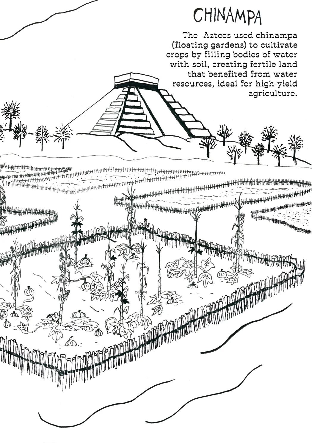 Growing into the future, Rooted in the past, page 6